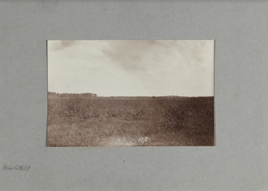 Клетнова Е.Н. Семлевское «Стоячее озеро» от большака. 1910 Картон, серебряно-желатиновый отпечаток