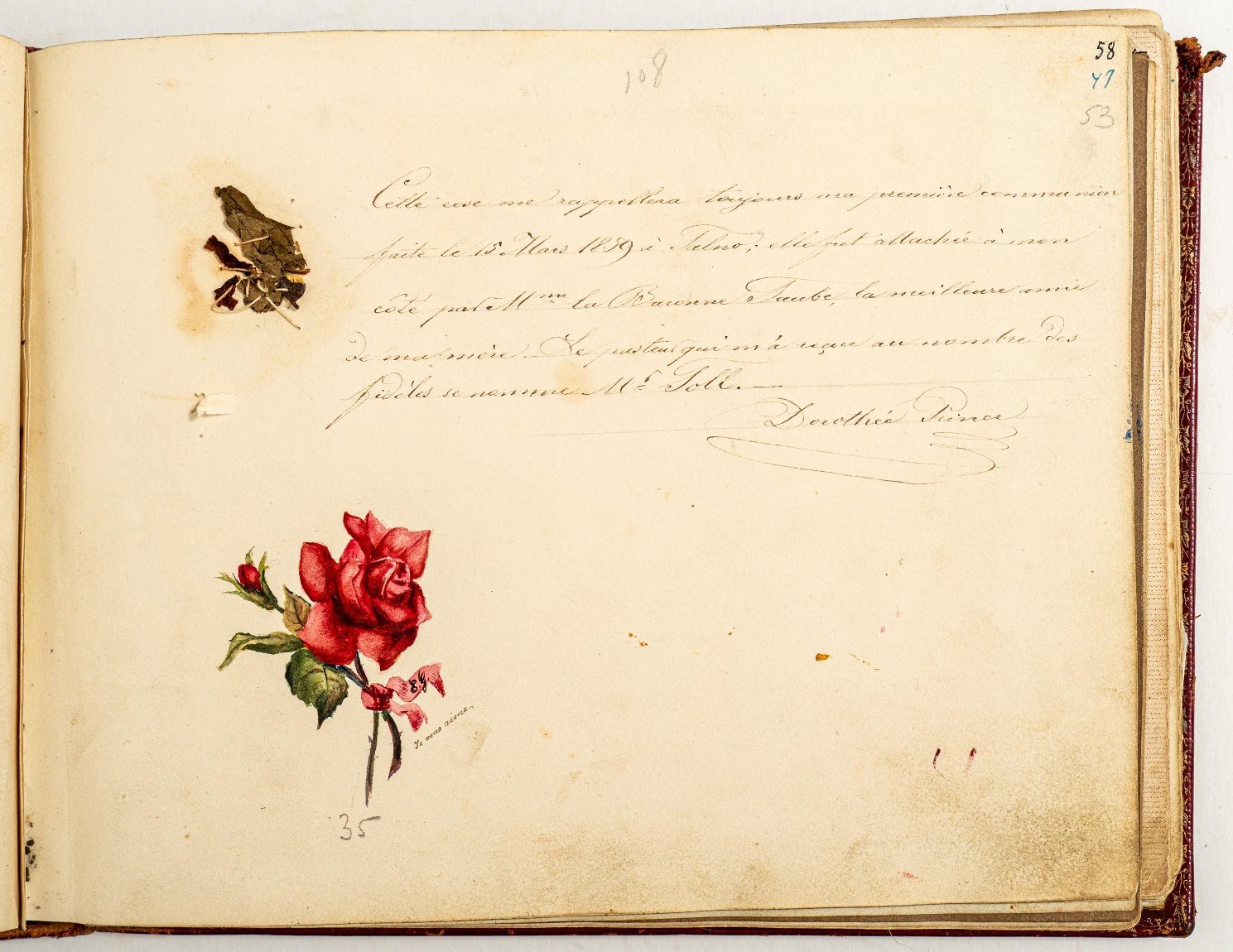 Текст по-французски и роза. Prince Dorothee. Из альбома Доротеи Ленци. 1800-1810-е гг.