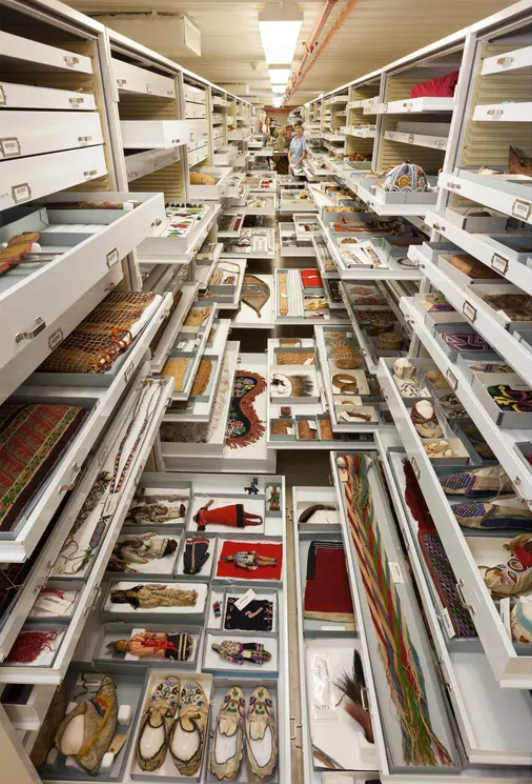 Источник (12 фотографий): https://www.smithsonianmag.com/smithsonian-institution/story-behind-those-jaw-dropping-photos-collections-natural-history-museum-180958671/ 